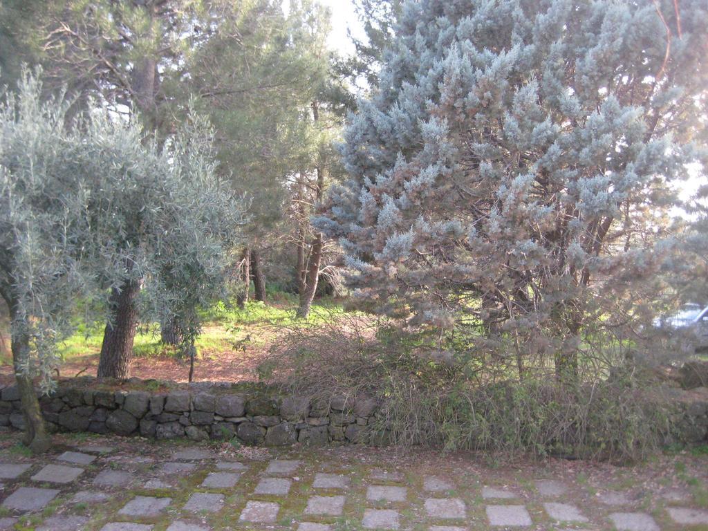 La Casa Del Cavaliere Villa Santa Maria di Licodia Стая снимка