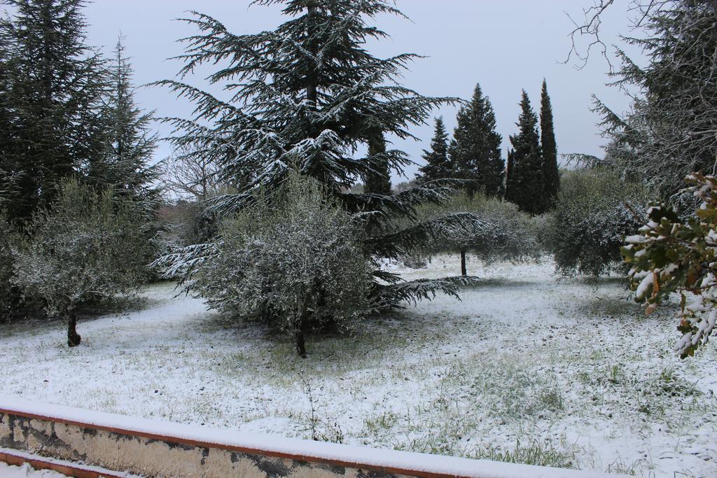 La Casa Del Cavaliere Villa Santa Maria di Licodia Екстериор снимка